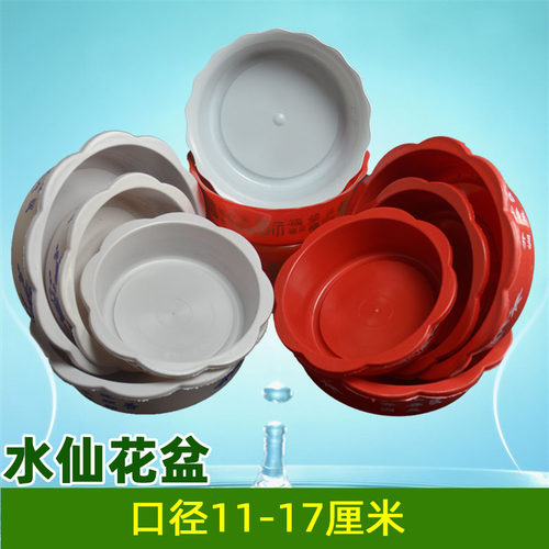 批发塑料花盆铜钱草水仙花包邮