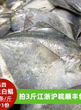 吕四海鲜特产流网小鲳鱼白银鲳鱼1斤4-5条拍4斤江浙沪皖顺丰包邮