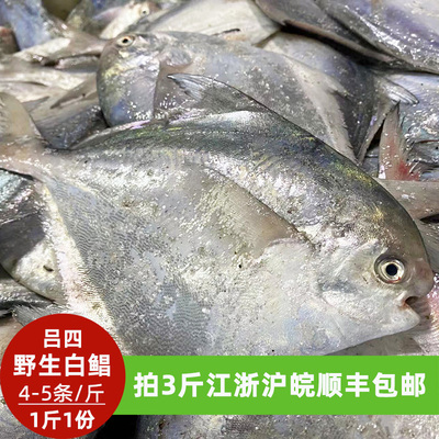 吕四海鲜特产流网小鲳鱼白银鲳鱼1斤4-5条拍4斤江浙沪皖顺丰包邮