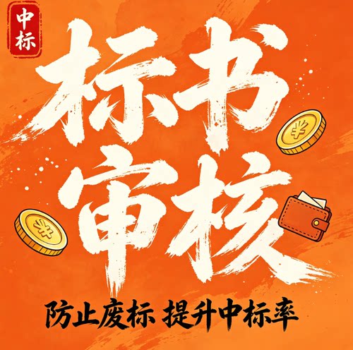 标书检查暗标核查标书审查投标文件废标项检查审核专家审标复核