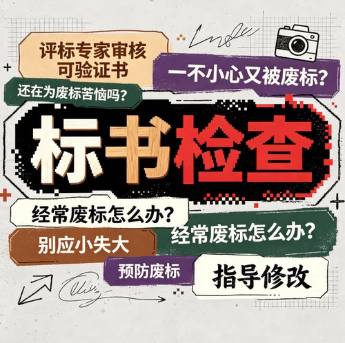 标书检查暗标核查标书审查投标文件废标项检查审核专家审标bk
