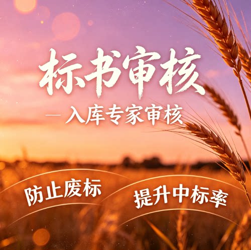 标书检查暗标核查标书审查投标文件废标项检查审核专家审标复核