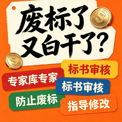 专家审标标书检查暗标核查标书审查投标文件废标项检查审核可加急