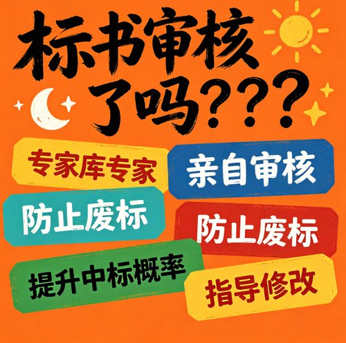 标书检查暗标核查标书审查投标文件废标项检查审核专家审标复核