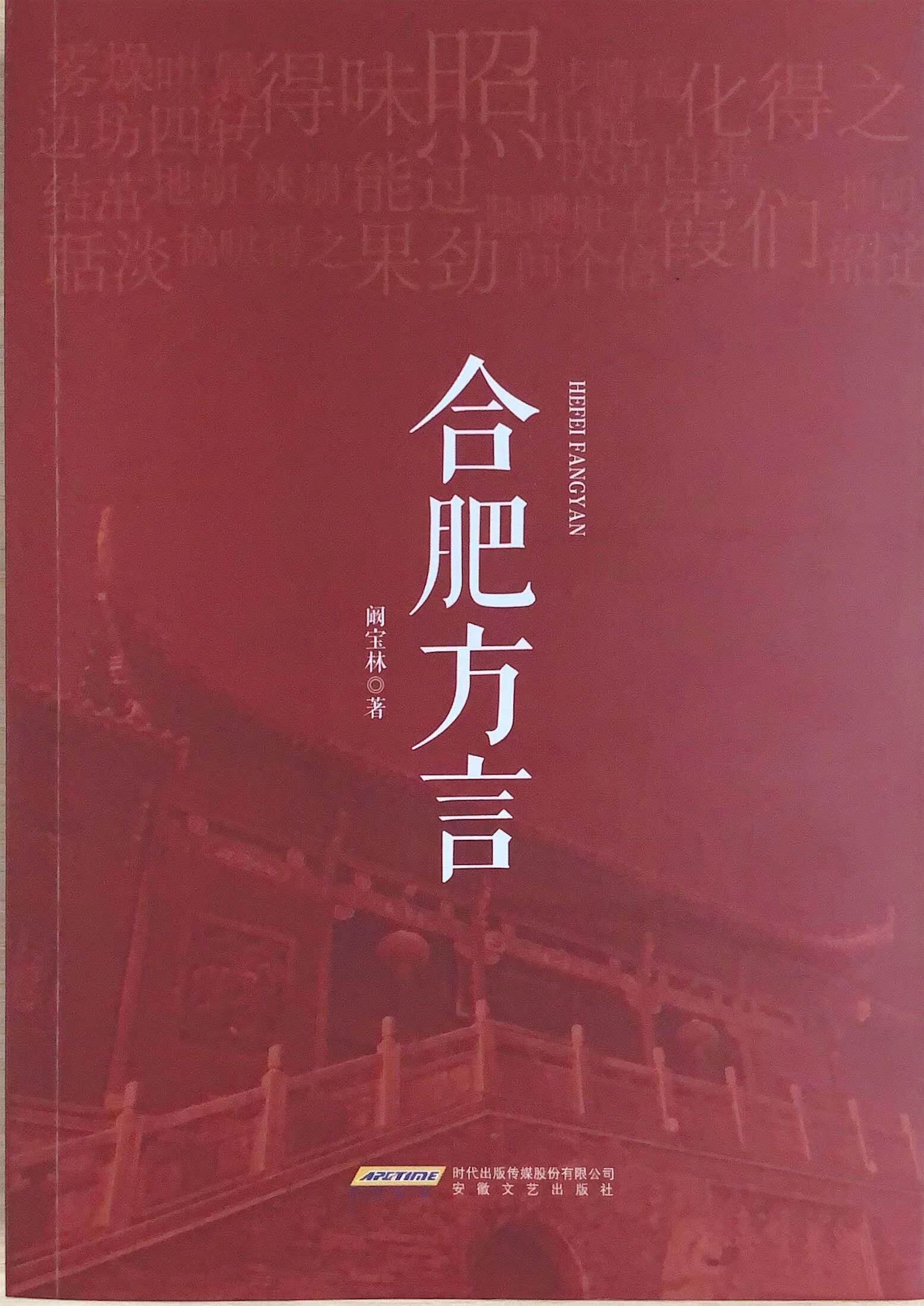 合肥方言 阚宝林著 安徽文艺出版社旗舰店 霸都方言am
