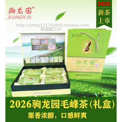 蕲春驹龙园茶叶 260g礼盒毛峰茶 李时珍故里特产 天然生态绿茶