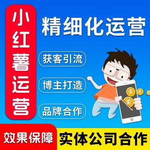 xhs小红薯书企业个人博主账号策划合作 爆款笔记推广打造