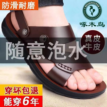 啄木鸟凉鞋男真皮软底夏季沙滩鞋男款防滑百搭大码男休闲两用凉拖