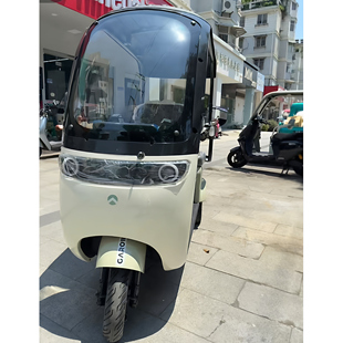 金箭芭蕾猫三枪顺丰鸟前面板休闲三轮车前围前挡风新日美铃达通用