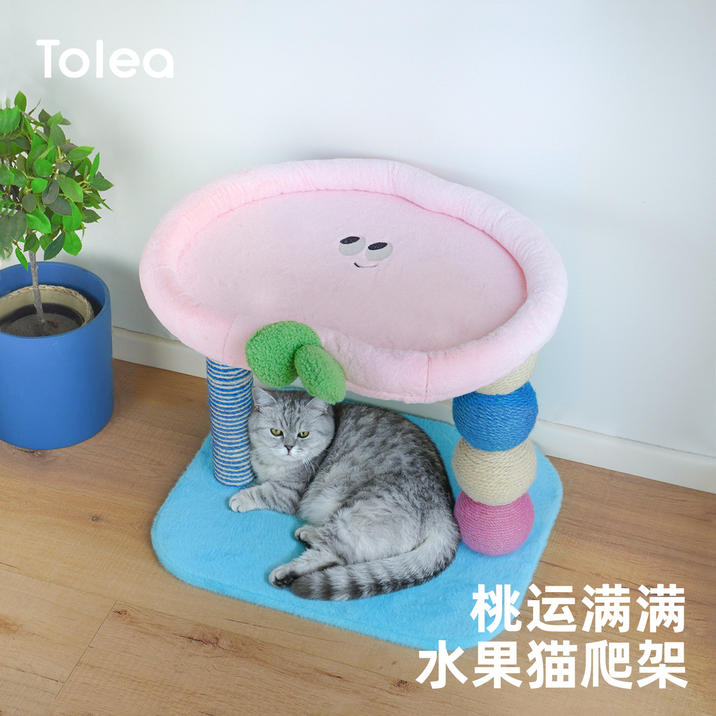 【顺丰发货】水果猫爬架小型家用图片