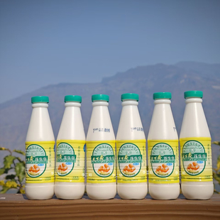 天下秀花生皇植物蛋白饮料四川老牌子儿时回忆奶制饮料240ml/瓶