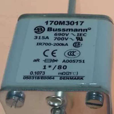 Bussmann熔断器170M5116/5117/5118/5266/5267/5268 直拍