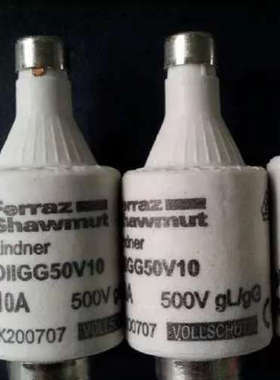 Ferraz熔断器DIIGG50V10 10A 500V gL/gG (597.0107/K200707)