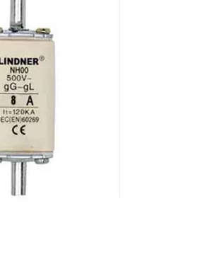 LINDNER NH00 NT00 熔断器4/6/8/10~50/63/80/100/125/160A 7999