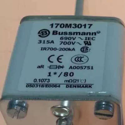 Bussmann熔断器170M4965/4966/4967/4968/4969/4970/4971/4972