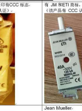 Jeanmueller/NH00/NH000 40A 500V M000gL40 N5013405/N5013405JE