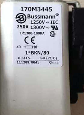 Bussmann熔断器170M3445 250A 1250V aR