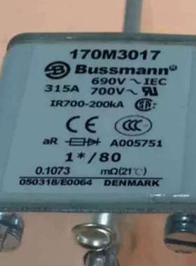 Bussmann熔断器170M3116/3117/3118/3119/3120/3121/3122/3123