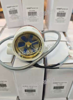 GEMS流量计237500 155425 155485 156265 156268 180395 234105