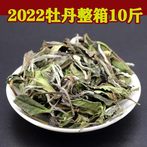 高山白茶福鼎大白茶白露牡丹