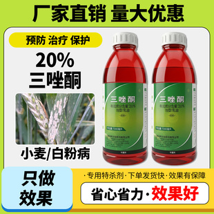 农药20%三唑酮乳油农药小麦白粉病农药粉锈宁锈病杀菌剂正品保障