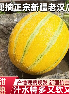 正宗老汉瓜软糯甜汁水足新疆直发