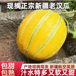 新疆老汉瓜产地直发软糯香甜不甜白送甜瓜蜜瓜新疆瓜果破损包赔
