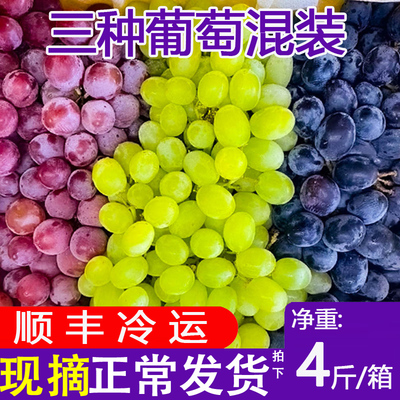 新疆水果吐鲁番三色葡萄