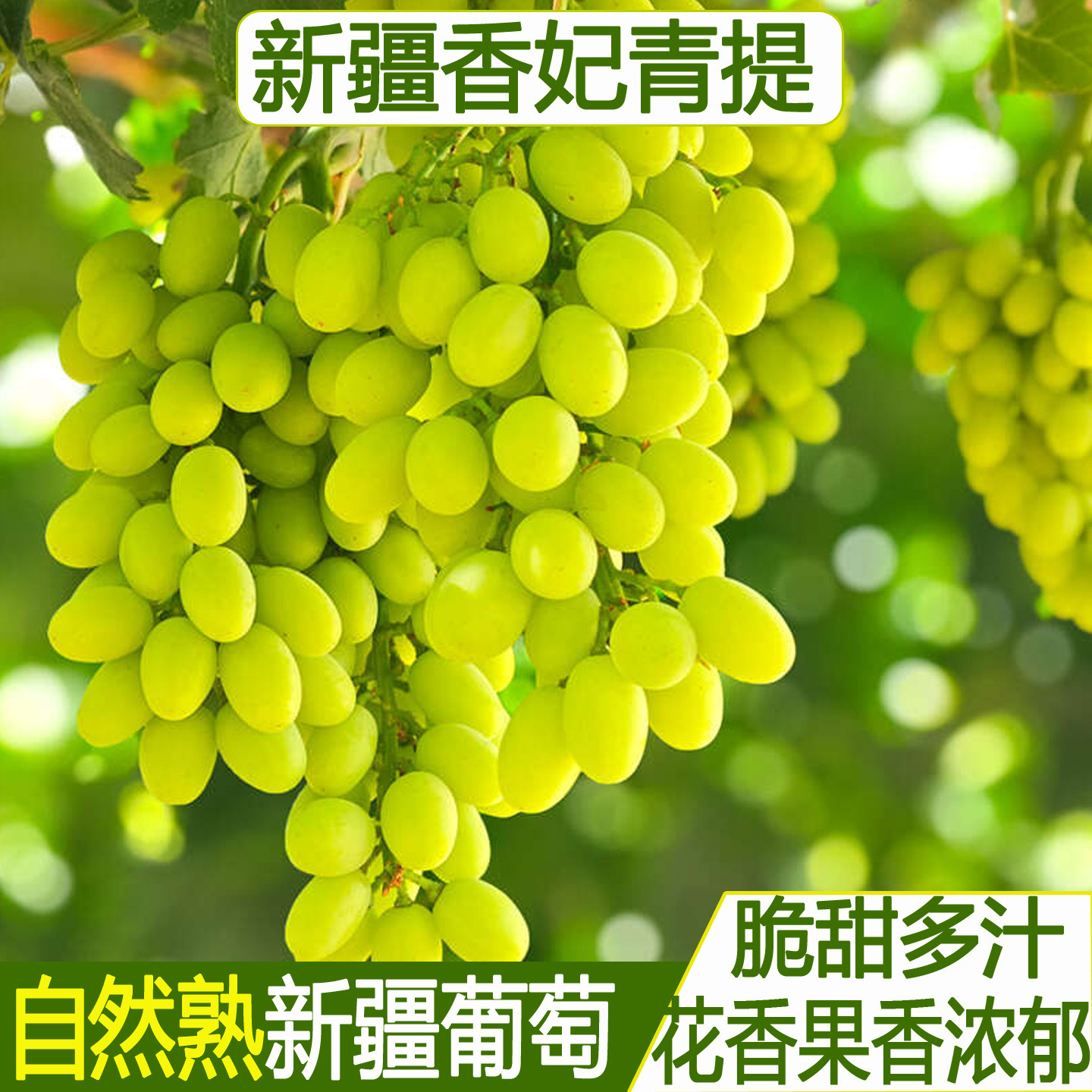 新疆吐鲁番无籽青提葡萄脆甜