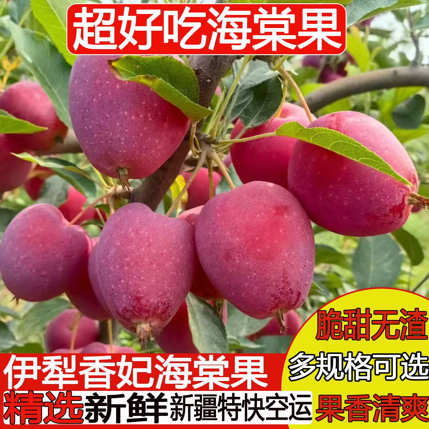 新疆水果伊犁香妃海棠果香甜脆甜小苹果新鲜红苹果一箱包邮