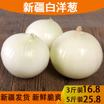 新疆洋葱圆葱白洋葱皮牙子新鲜蔬菜洋葱头微辣产地直发包邮新鲜菜