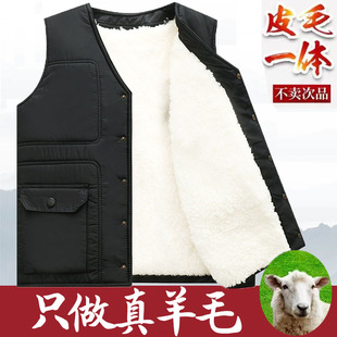 羊毛马甲男皮毛一体秋冬季 中老年人保暖背心加厚棉坎肩 马夹爸爸装