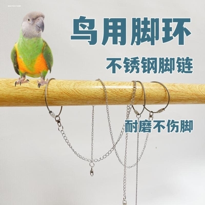 鹦鹉脚环脚链喜鹊八哥小太阳玄凤牡丹灰鹦鹉不锈钢活扣鸟链子站架