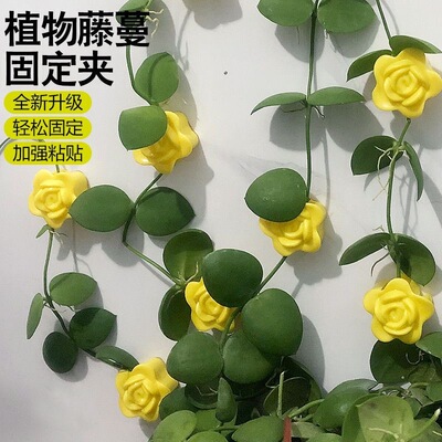 绿箩爬上神器固定器绿植攀爬无痕