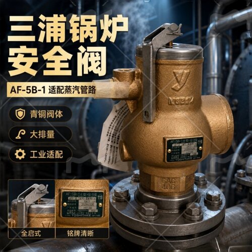 日本三浦锅炉安全泄压阀AF-5B-1