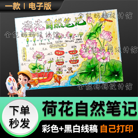 荷花自然笔记手抄报模版科学自然笔记小报线稿电子版6470