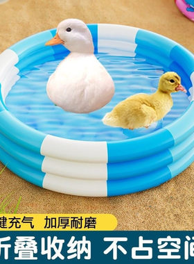 柯尔鸭游泳池洗澡专用品宠物小鸡