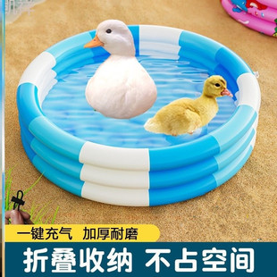 柯尔鸭游泳池洗澡专用品宠物小鸡鸭子解闷玩具鹦鹉鸟乌龟水池盆子