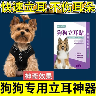 约克夏狗狗立耳贴小狗鹿犬耳朵辅助立耳神器幼犬矫正竖耳器固定器