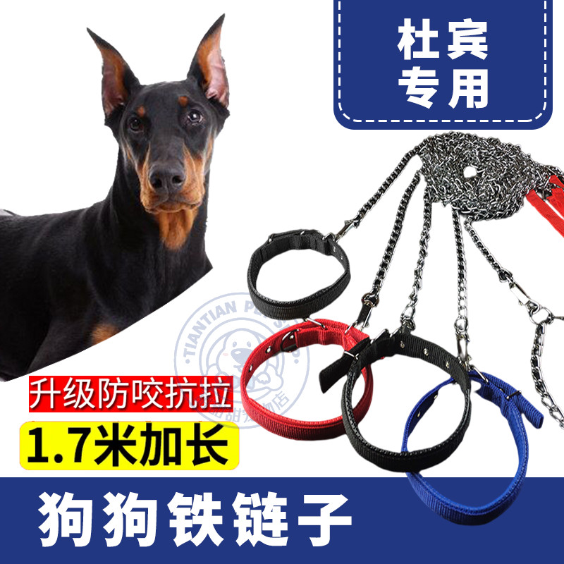 杜宾犬专用脖套狗狗牵引绳宠物铁链项圈中大型犬遛狗防咬栓不锈钢