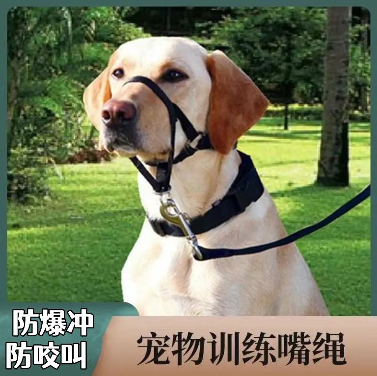 宠物遛狗嘴套嘴绳口环狗嘴鼻环训犬防暴冲防咬防叫拉狗牵引绳链包
