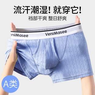 男士新型内裤流汗潮湿神器高端纯棉7A抗菌提蛋阴囊托四角平角短裤