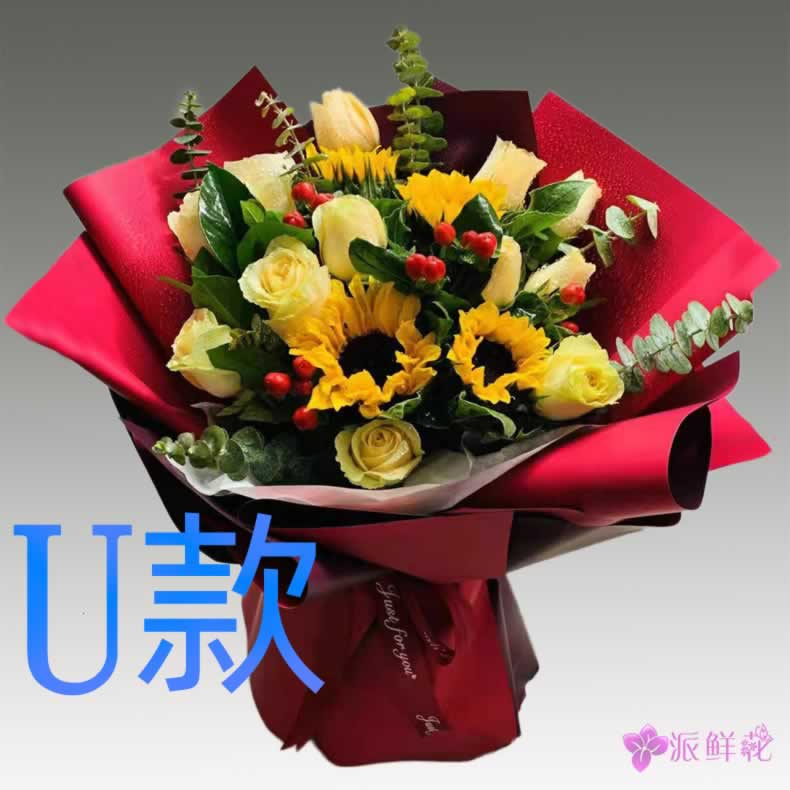 生日祝寿康乃馨新疆阿勒泰花店送花福海哈巴河青河县同城鲜花快递