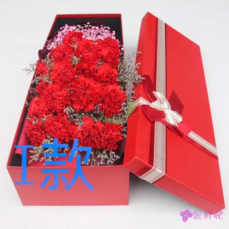 生日祝寿康乃馨陕西咸阳花店送花兴平市秦都区杨陵区同城鲜花速递