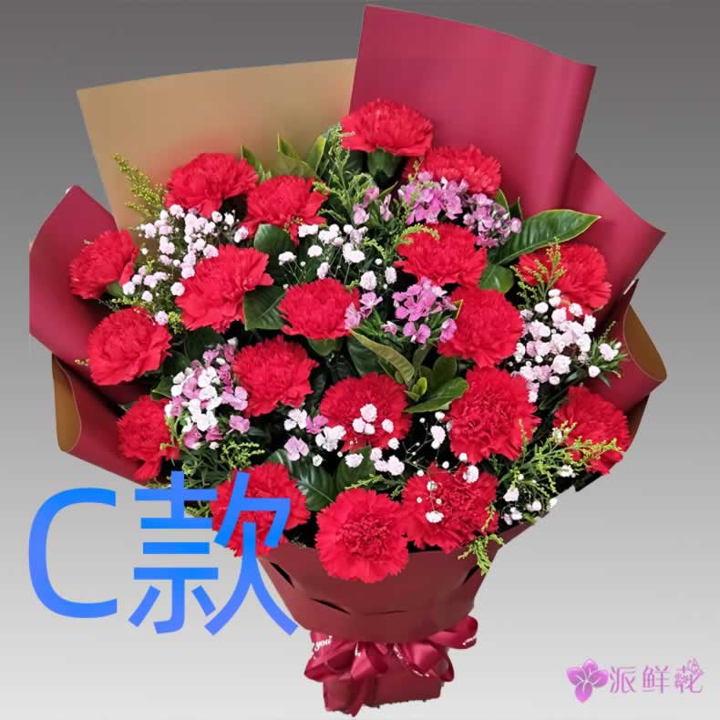 生日祝寿康乃馨四川乐山花店送花沐川县峨边县马边县同城鲜花快递