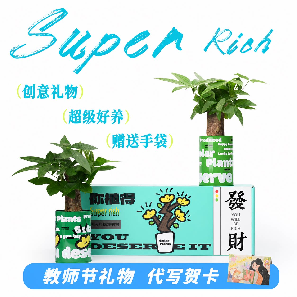 发财树盆栽植物礼盒小盆栽绿植