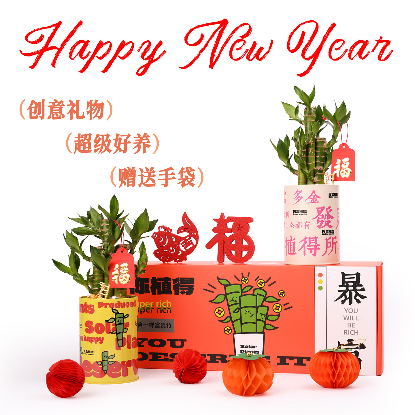 富贵竹盆栽办公室桌面绿植工位绿植创意新年礼物植物礼盒四季好养