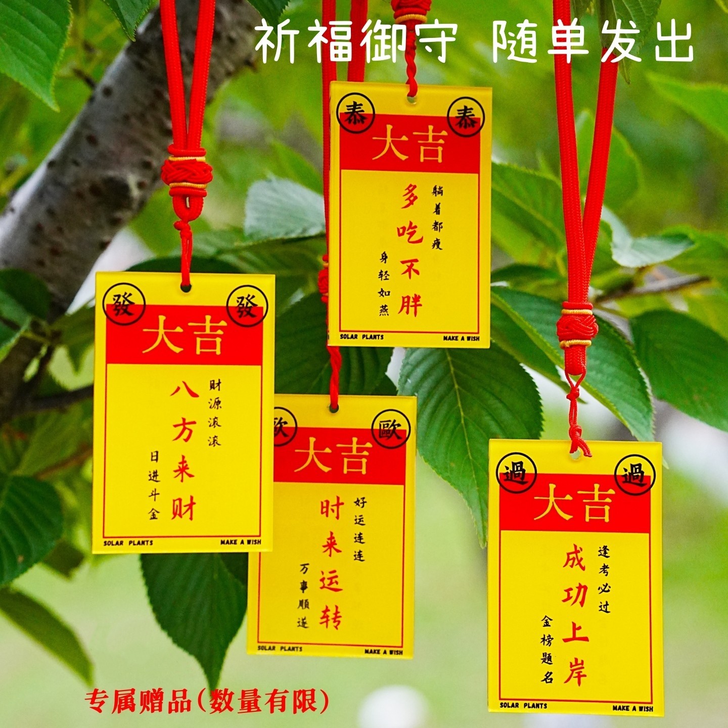光合植物Solar Plants 定制版祈福御守