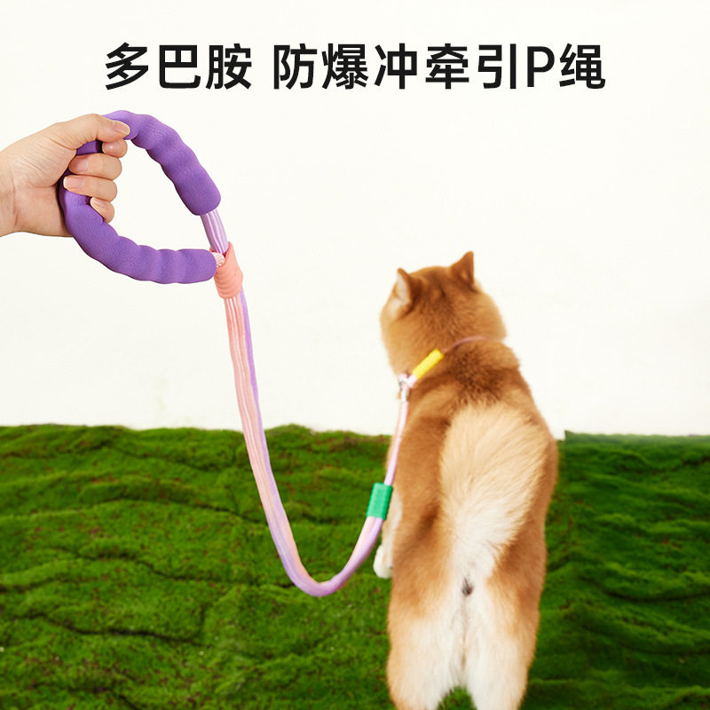 狗狗牵引绳栓溜p绳中型犬防爆冲p链防挣脱宠物用品