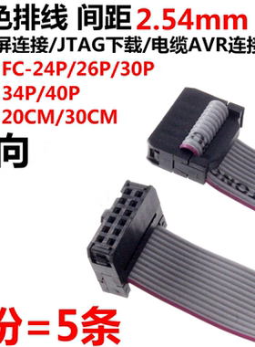 5条 FC-24/26/30/34/40P 20cm/30cm 灰色排线 间距2.54mm 连接线